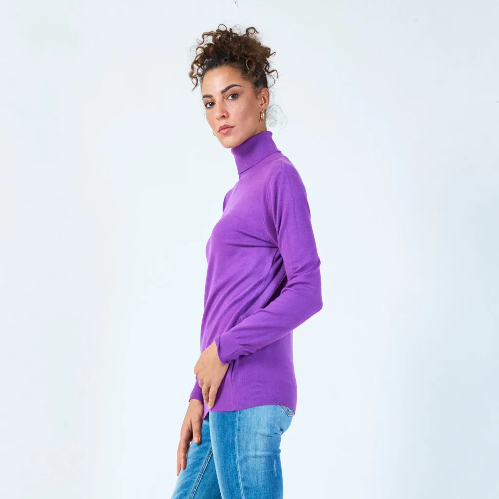 Classic turtleneck sweater wholesale