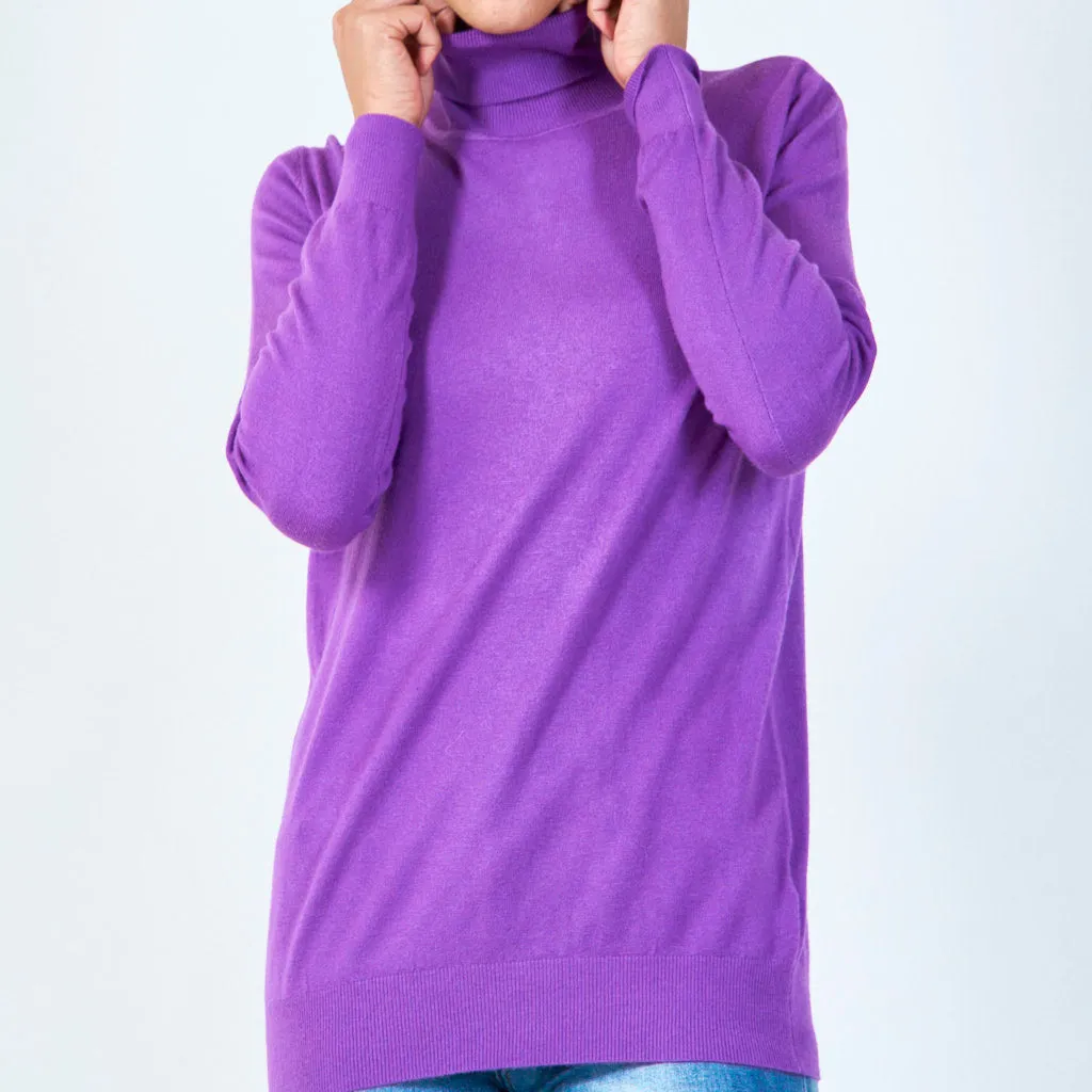 Classic turtleneck sweater wholesale