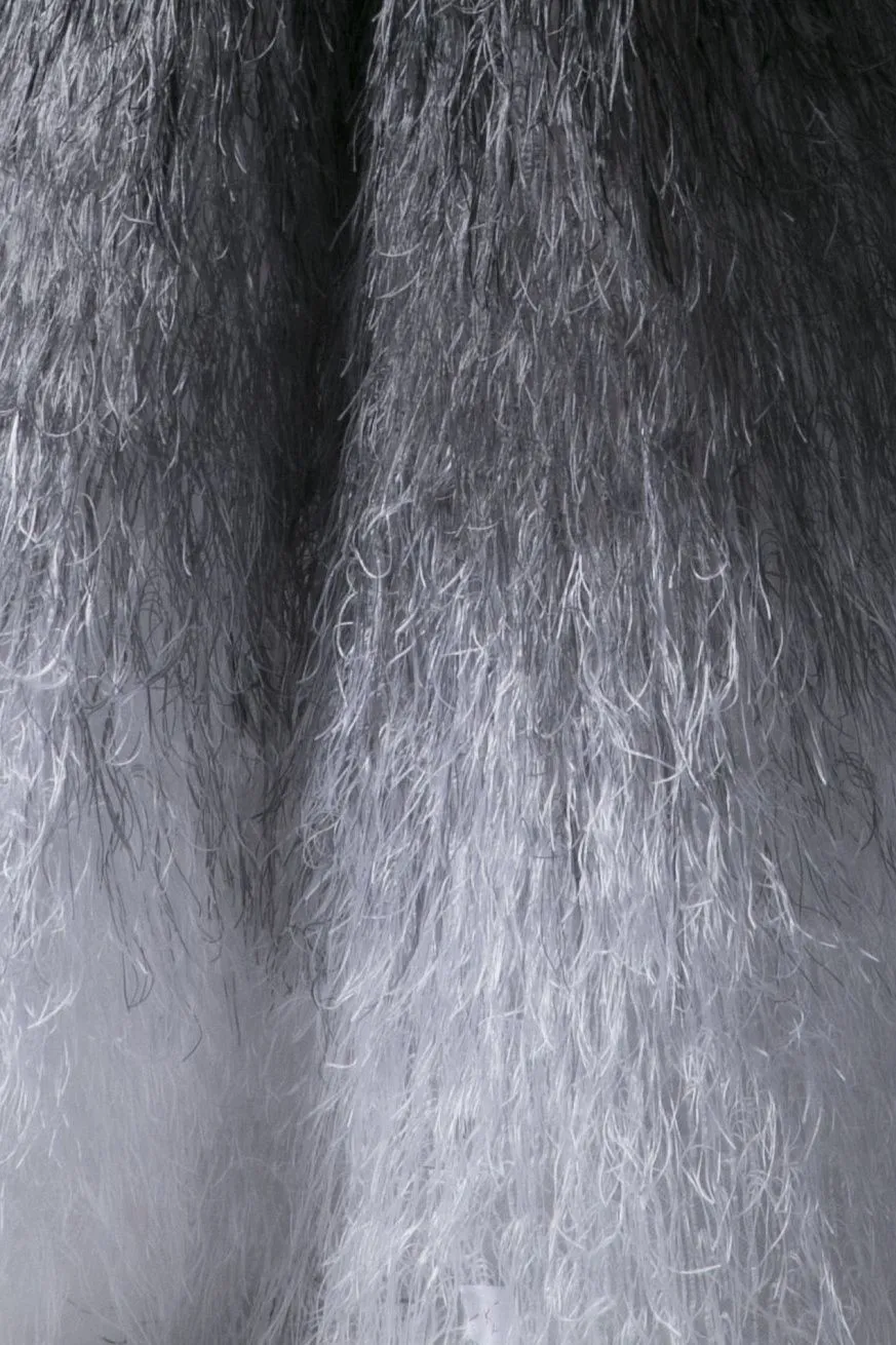 EMBROIDERED FEATHER DRESS