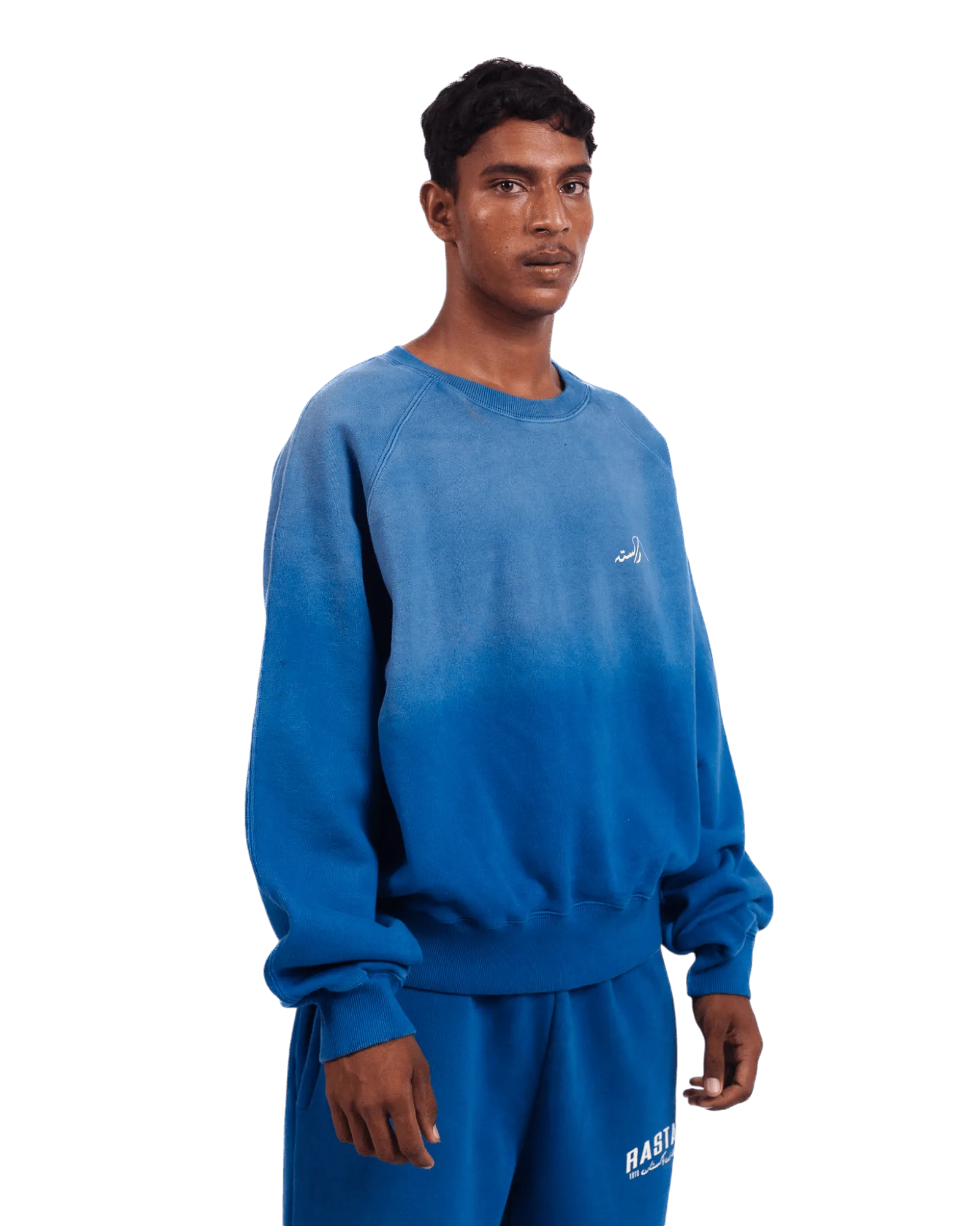 FADED BLUE LOGO SWEATSHIRT (v2)