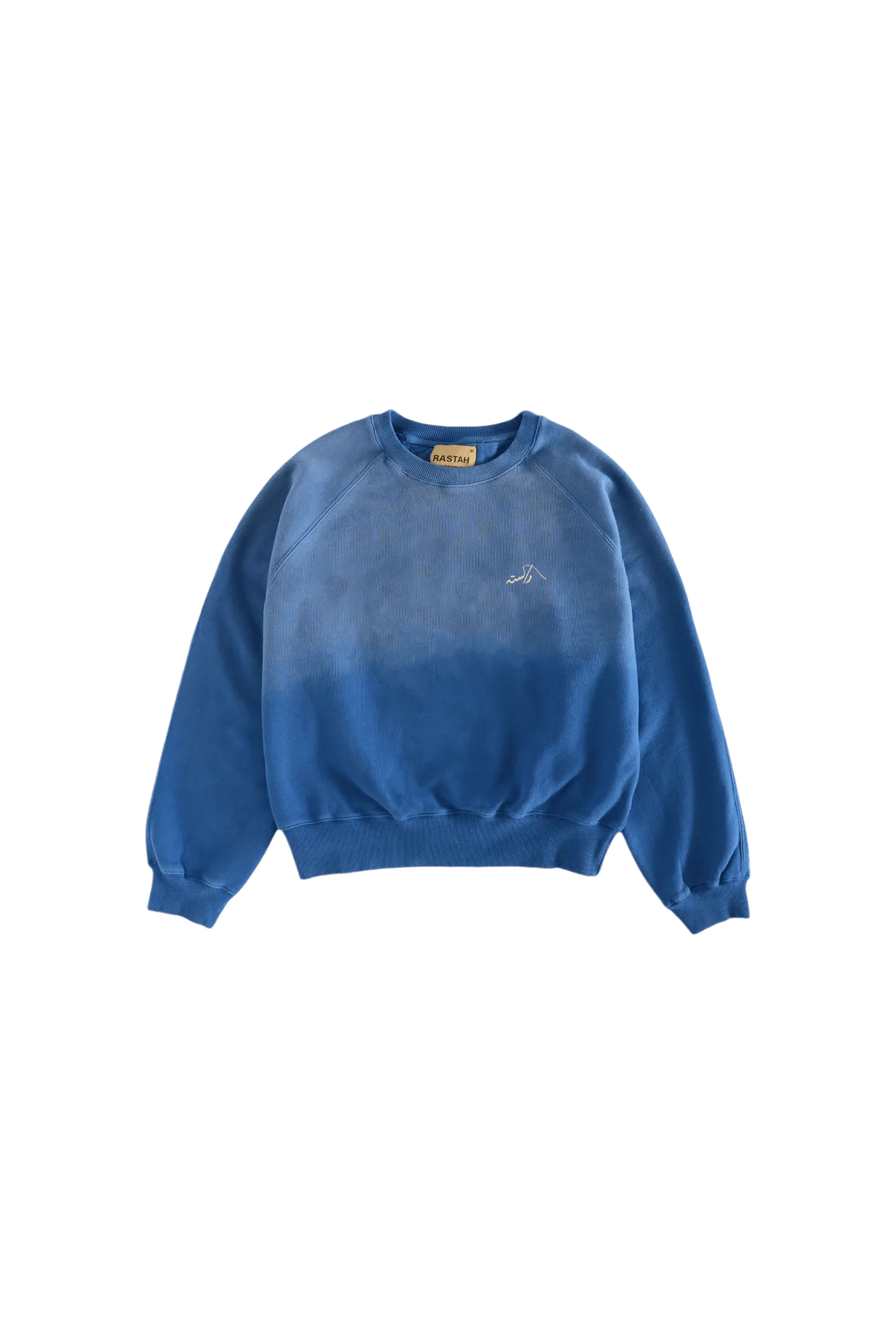 FADED BLUE LOGO SWEATSHIRT (v2)