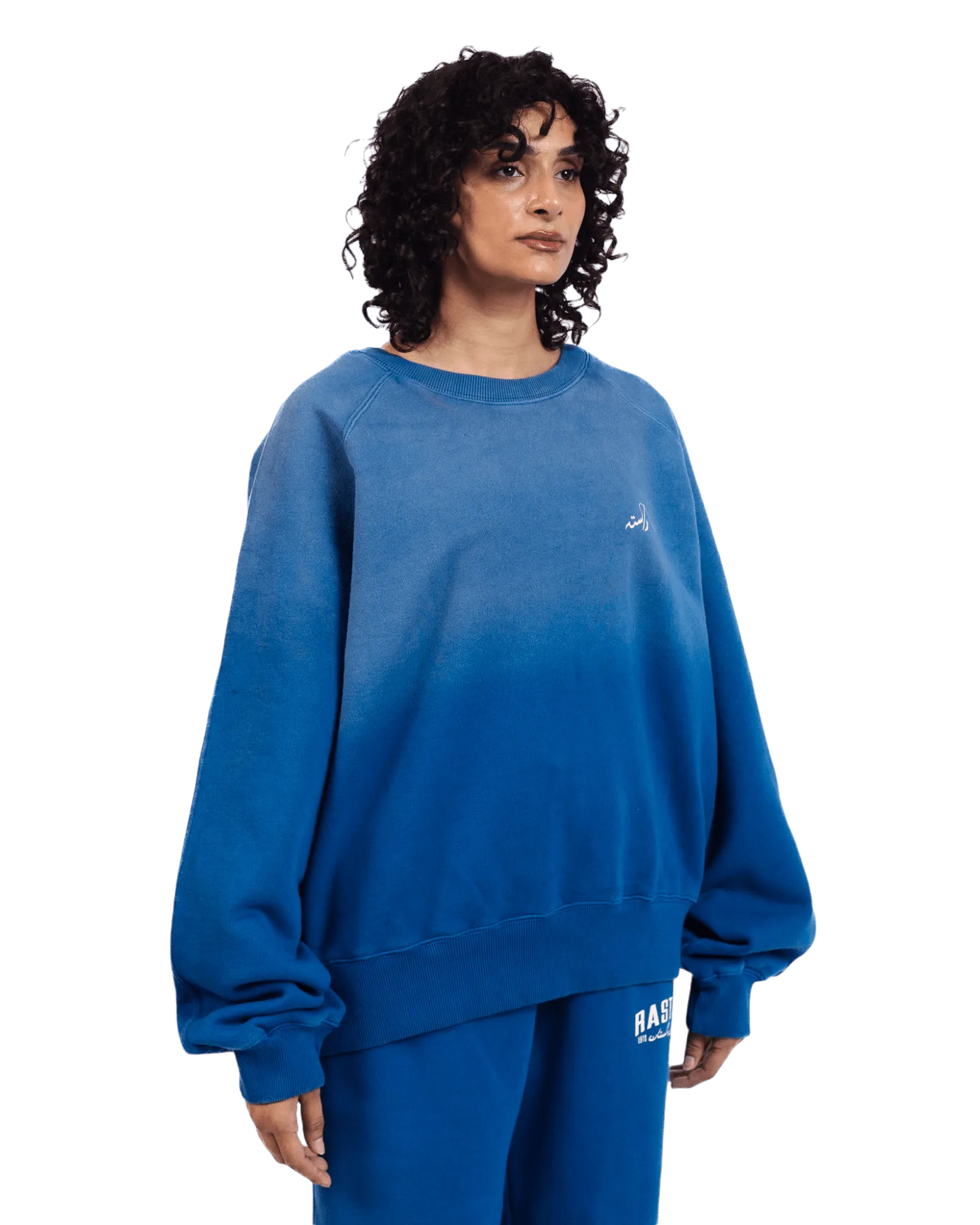 FADED BLUE LOGO SWEATSHIRT (v2)