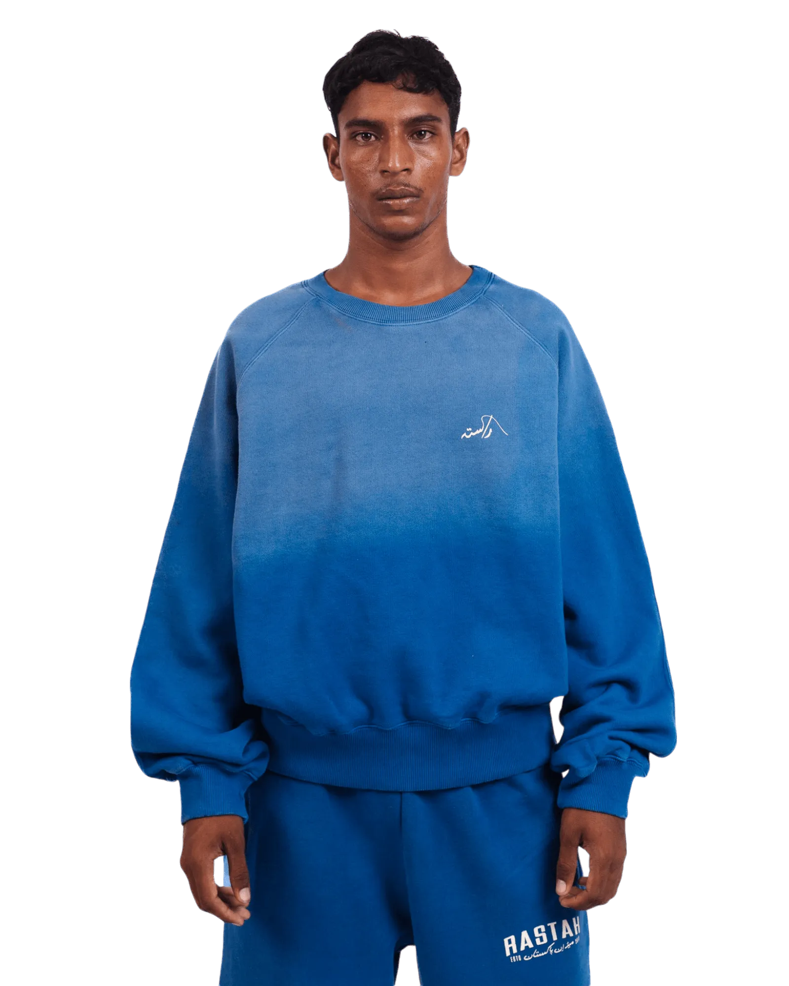 FADED BLUE LOGO SWEATSHIRT (v2)