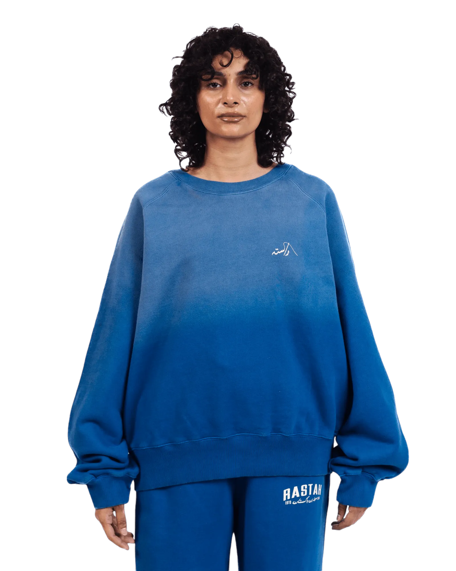 FADED BLUE LOGO SWEATSHIRT (v2)