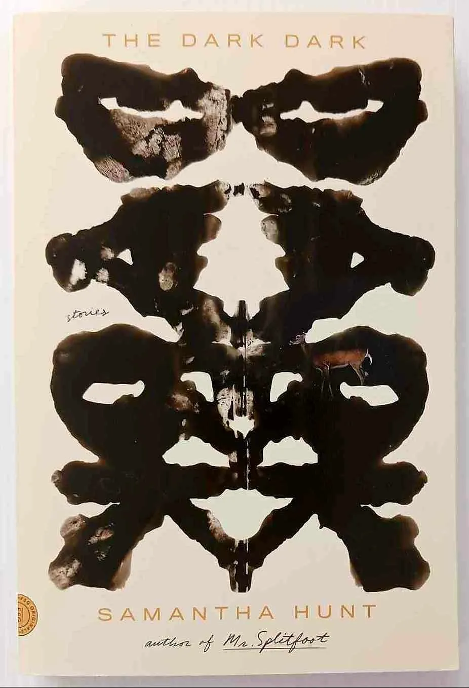 THE DARK DARK - Samantha Hunt